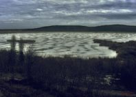 Réserve naturelle de Srébarna 