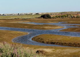 Ria Formosa : une merveille naturelle du Portugal