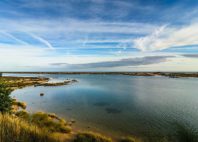 Ria Formosa 