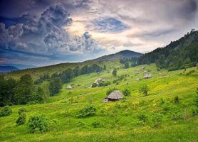 Parc de Šargan-Mokra Gora : au cœur d’une impressionnante nature