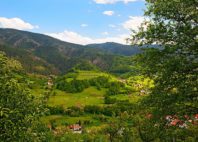 Parc de Šargan-Mokra Gora 