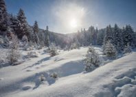 Parc de Šargan-Mokra Gora 