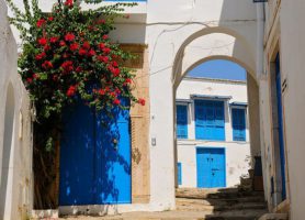 Sidi Bou Saïd : la villégiature de vos rêves