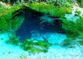 Source de l'oeil bleu : une attraction touristique d’une beauté inouïe
