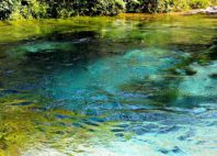 Source de l'oeil bleu 