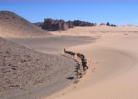 Tamanrasset 