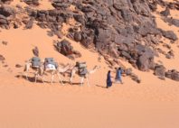 Tamanrasset 