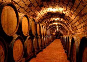 Tokaj : au cœur d’un vaste domaine viticole
