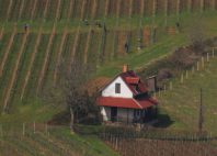 Tokaj 