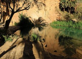 Tozeur : découvrez cette cité aux portes du Sahara