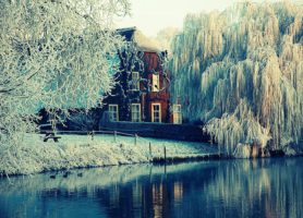 Utrecht : l’une des plus belles villes des Pays-Bas