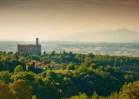 Volterra 