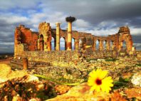 Volubilis 
