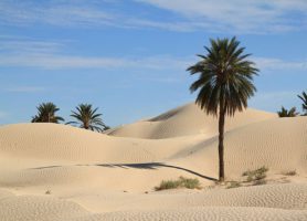 Zaafrane : explorez cette ville aux attractions uniques