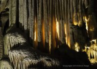 Grottes de Postojna 