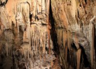 Grottes de Postojna 