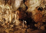 Grottes de Postojna 