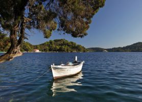 Île de Mljet : le top des îles de la Croatie