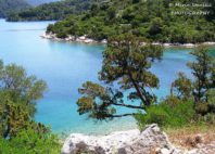 Île de Mljet 