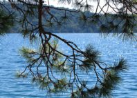 Île de Mljet 