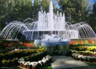 Odessa 