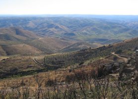 Vallée de Côa : la perle de l’art rupestre