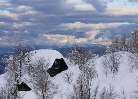 Vogel : la nature dans toute sa splendeur