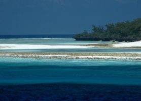 Aldabra : découvrez cet atoll hors du commun