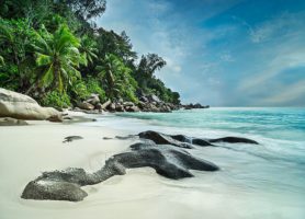Anse Georgette : une escale sur une plage mythique
