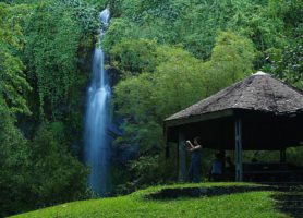 Anse des Cascades : un site naturel formidable