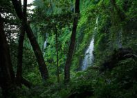 Anse des Cascades 