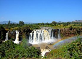Bahar Dar : au cœur d’une localité aux mille attractions