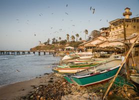 Bakau : crocodiles, jardin et plages ensoleillées