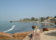 Bakau 