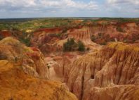 Canyon de Marafa 