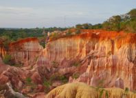 Canyon de Marafa 