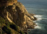 Chapman's Peak 
