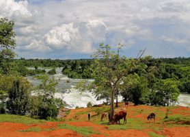 Chutes Itanda : des cascades uniques en leur genre