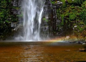 Chutes de Wli : découvrez ce site magique
