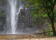 Chutes de Wli 