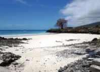 Comores 