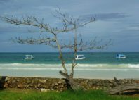 Diani Beach 