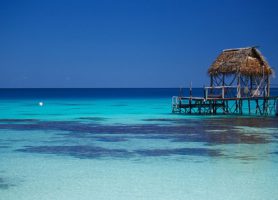 Fakarava : découvrez cette île au décor paradisiaque !