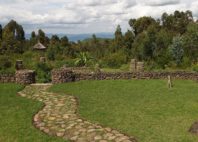 Forêt de Bwindi 