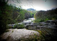 Gorges du Fier 