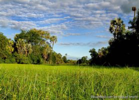 Gorongosa : offrez-vous cette exceptionnelle aventure