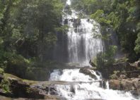 Gorongosa 