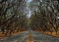 Harare 