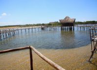 Inhambane 