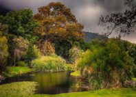 Jardins de Kirstenbosch 
